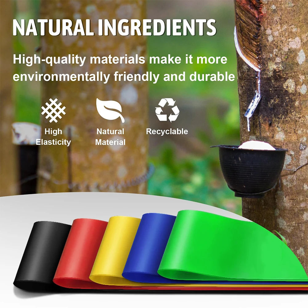 Resistance Bands for Working Out Elastic Exercice Loop Band for Pilates Yoga Starter Set of 5 for Booty Legs Stretch Flexbands American Fitness CLub