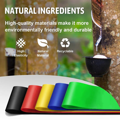 Resistance Bands for Working Out Elastic Exercice Loop Band for Pilates Yoga Starter Set of 5 for Booty Legs Stretch Flexbands American Fitness CLub